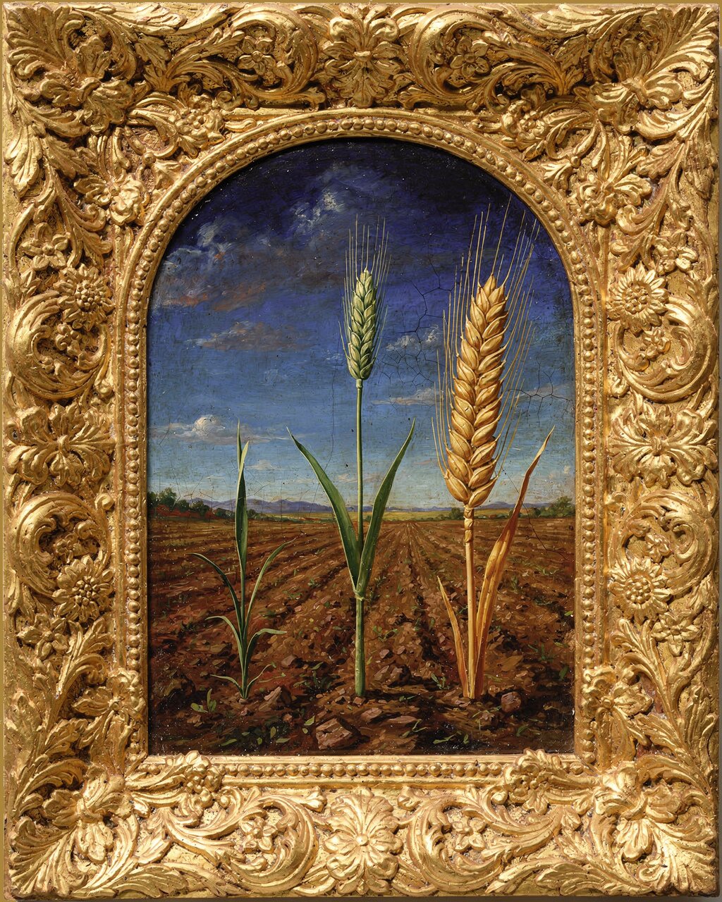 The Growing Seed